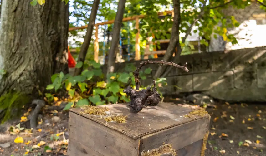 4 vszak Hegyihotel Mtrahza - Mjus 1. (min. 2 j)