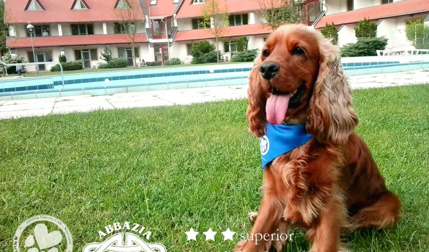 Abbzia Country Club Nemesnp - Mjus 1. - teljes elrefizetssel (min. 2 j)