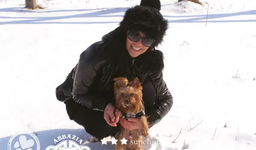 Abbzia Country Club Nemesnp - Mjus 1. - teljes elrefizetssel (min. 2 j)