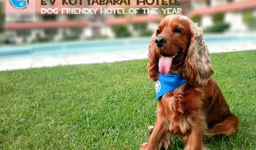 Abbzia Country Club Nemesnp - Mjus 1. - teljes elrefizetssel (min. 2 j)