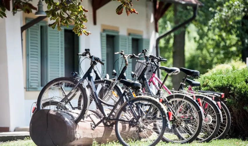 Abbzia Country Club Nemesnp - Mjus 1. - teljes elrefizetssel (min. 2 j)