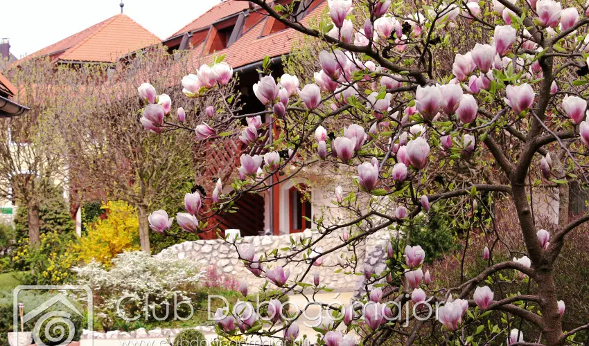 Club Dobogmajor Cserszegtomaj - Mjus 1. - teljes elrefizetssel (min. 2 j)