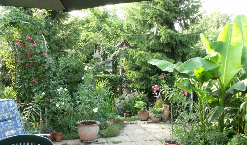 Agod Apartman Gyula - M�jus 1. (min. 3 �j)