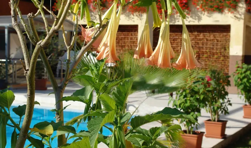 Alfa Hotel Miskolctapolca - Mjus 1. (min. 2 j)