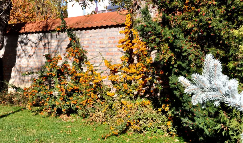 Ametiszt Hotel Harkny - Mjus 1. (min. 3 j)