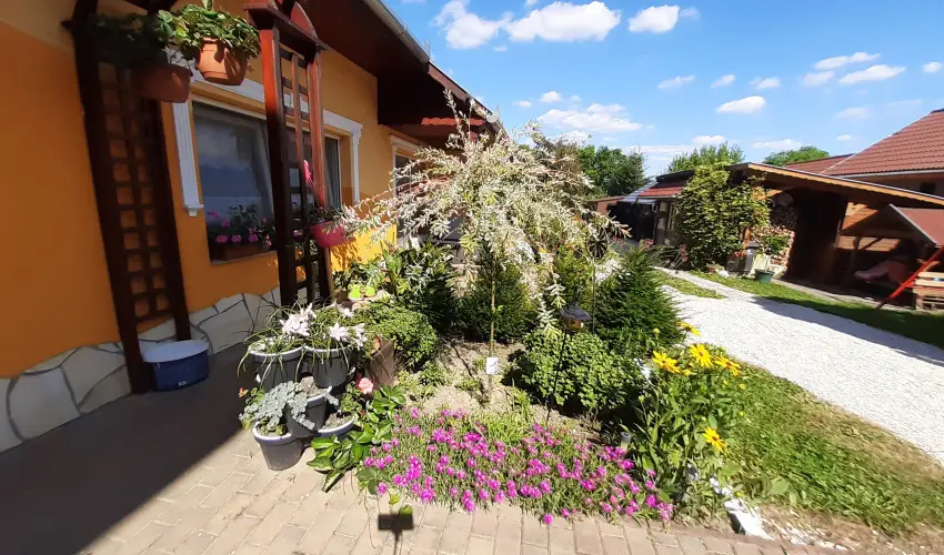 Andrea Vendghz Kehidakustny - Mjus 1. (min. 2 j)