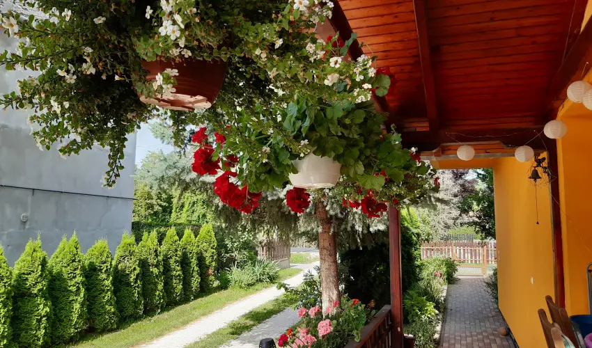 Andrea Vendghz Kehidakustny - Mjus 1. (min. 2 j)