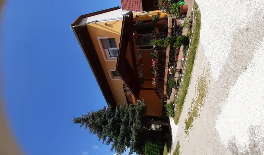 Andrea Vendghz Kehidakustny - Mjus 1. (min. 2 j)