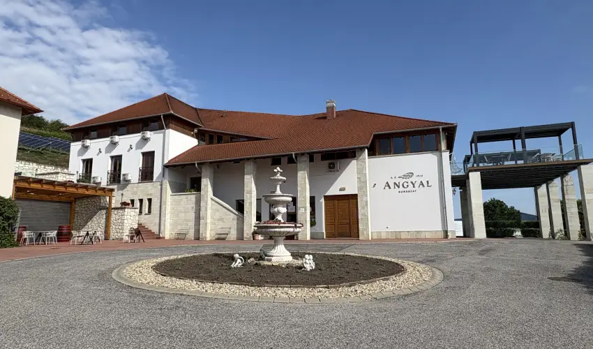 Angyal Borszat Rtka - Mjus 1. (min. 2 j)