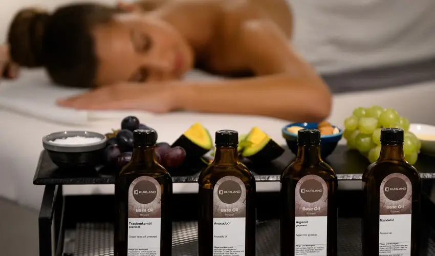 Anna Grand Hotel Balatonfred - Majlis