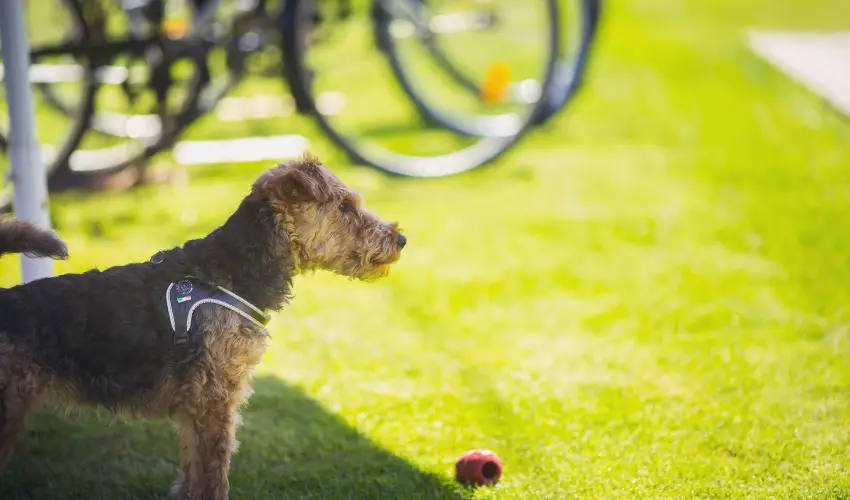 Apartman Szanyi Bk, Bkfrd - Mjus 1.