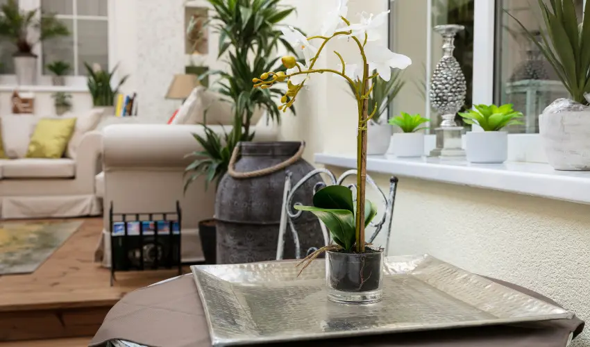 Aquasol Resort Mosonmagyarvr - Mjus 1. 