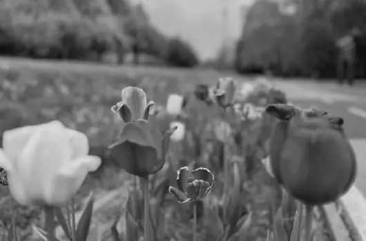 Aquatherm Hotel - Mjus 1. (min. 2 j)