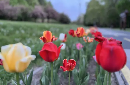 Aquatherm Hotel - Mjus 1. (min. 2 j)