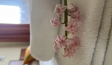 Aquatherm Hotel Zalakaros