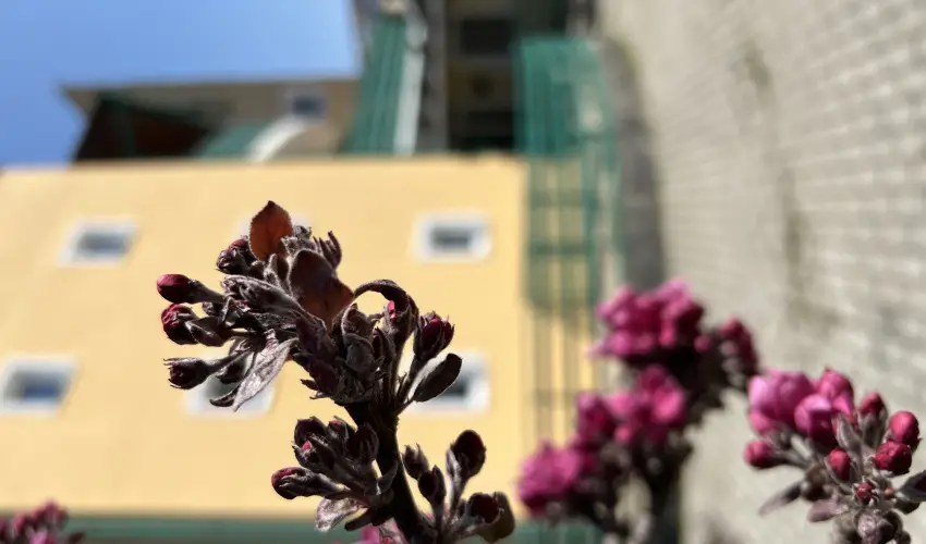 Aquatherm Hotel Zalakaros - Mjus 1. (min. 2 j)