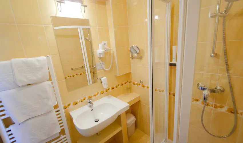 Aranyhomok Business & Wellness Hotel Kecskemt - Mjus 1.