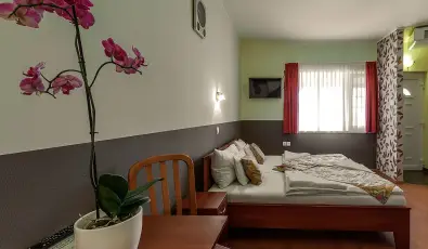 Aranypatk� Panzi� Gy�r�jbar�t