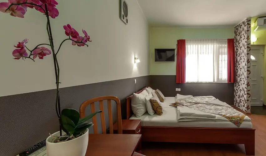 Aranypatk� Panzi� Gy�r�jbar�t - M�jus 1.