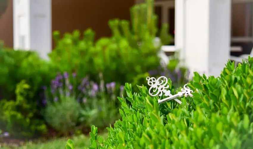 Arcanum Hotel Bkscsaba - Mjus 1.