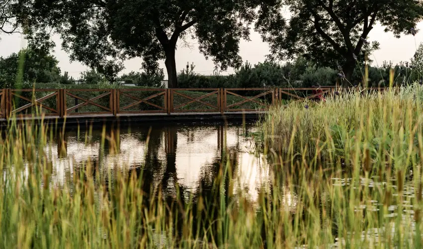 Arcanum Hotel Bkscsaba - Mjus 1.