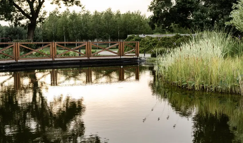 Arcanum Hotel Bkscsaba - Mjus 1.