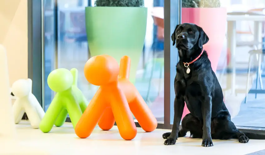 Art Hotel Szeged Szeged - M�jus 1. 