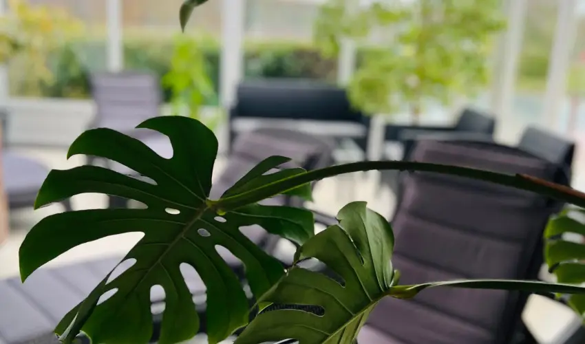 Art Hotel Zalakaros - M�jus 1.