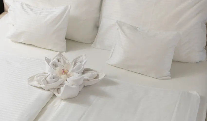 Hotel Atlantis Wellness & Conference Hajdszoboszl - Mjus 1.