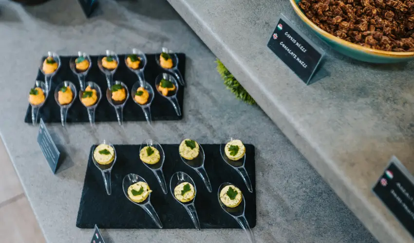 Auris Hotel Szeged Szeged - M�jus 1.