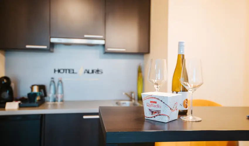 Auris Hotel Szeged Szeged - M�jus 1.