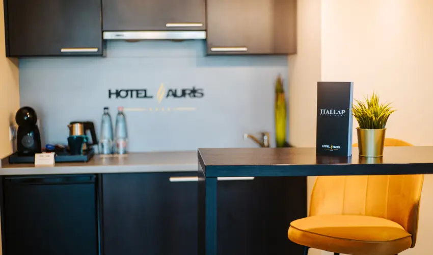 Auris Hotel Szeged Szeged - M�jus 1.