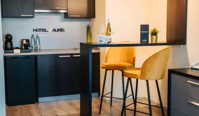 Auris Hotel Szeged Szeged