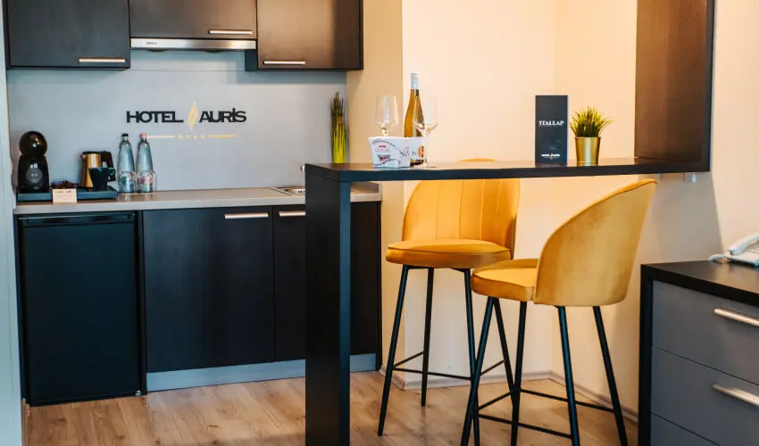 Auris Hotel Szeged Szeged - M�jus 1.