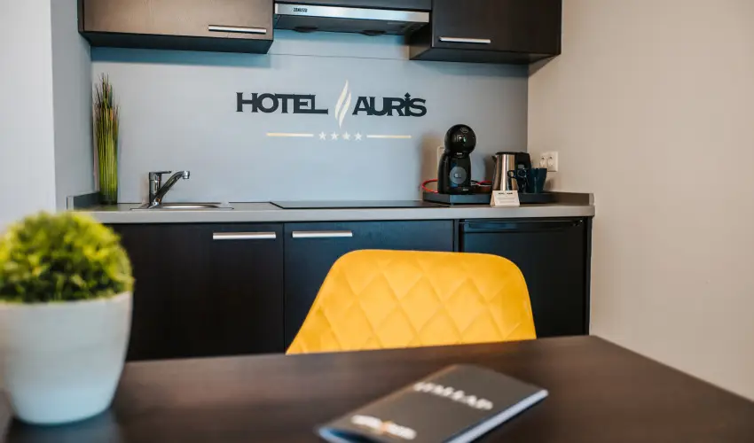 Auris Hotel Szeged Szeged - M�jus 1.