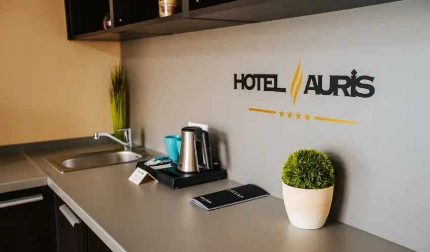 Auris Hotel Szeged Szeged - M�jus 1.