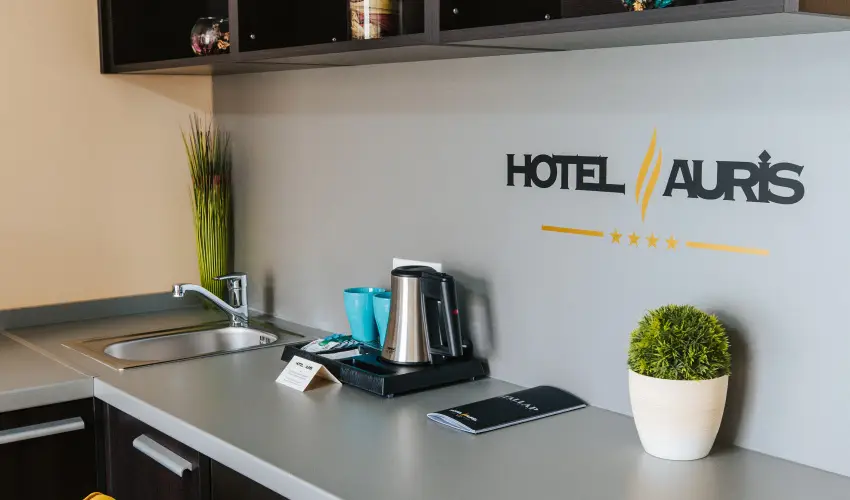 Auris Hotel Szeged Szeged - M�jus 1.