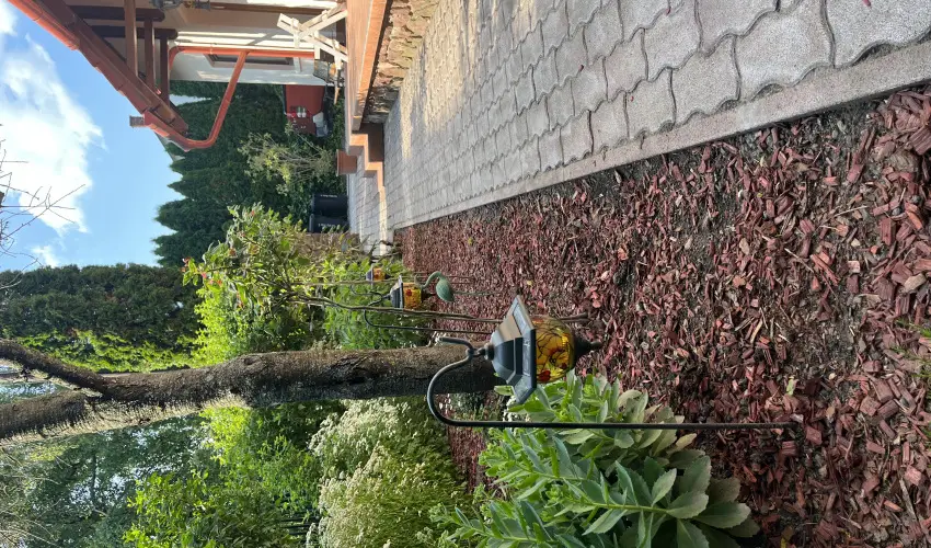 Aventurin House Rvflp - Mjus 1. (min. 2 j)