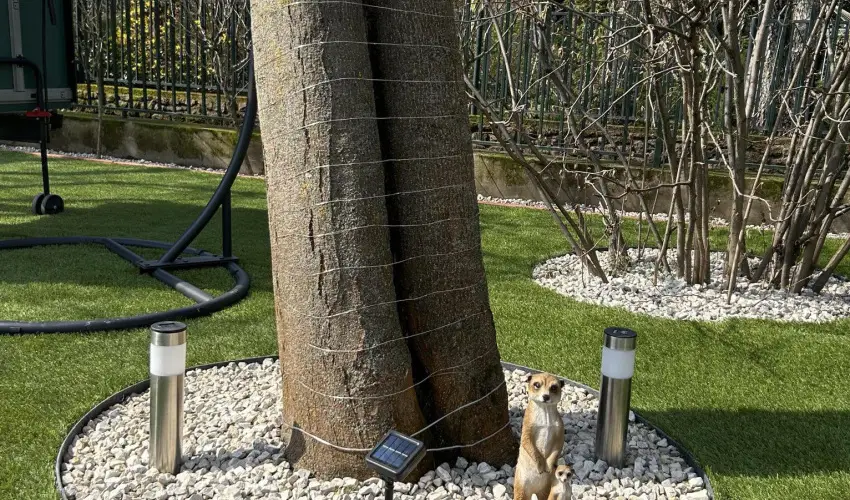 Aventurin House Rvflp - Mjus 1. (min. 2 j)