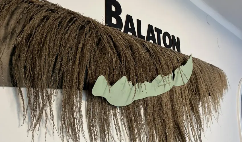 Aventurin House Rvflp - Mjus 1. (min. 2 j)