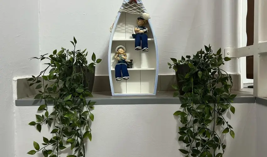 Aventurin House Rvflp - Mjus 1. (min. 2 j)