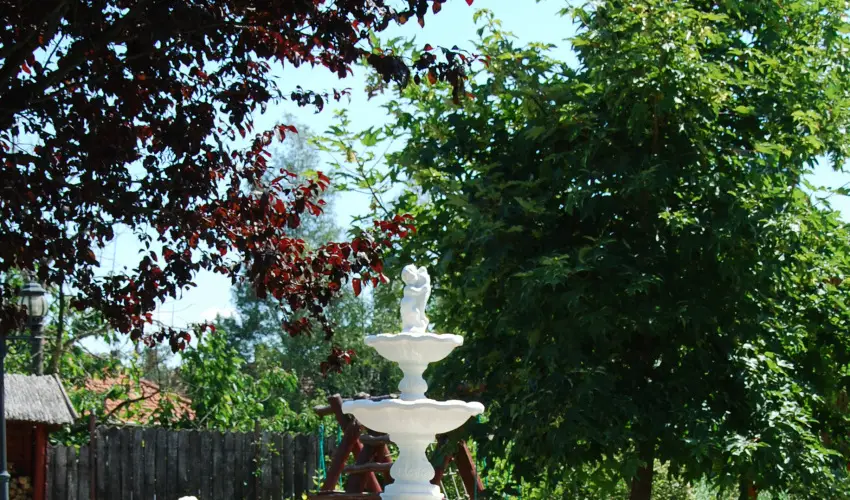 Bacchus Panzi Eger - Mjus 1. (min. 2 j)