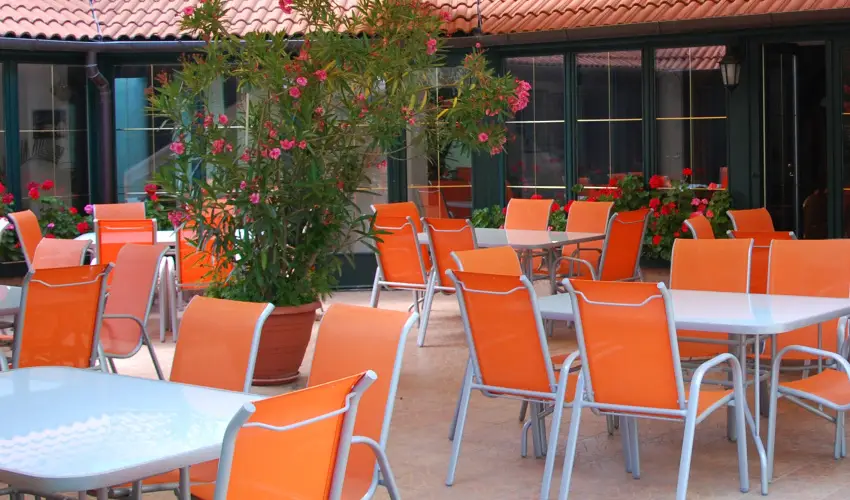 Bacchus Panzi Eger - Mjus 1. (min. 2 j)