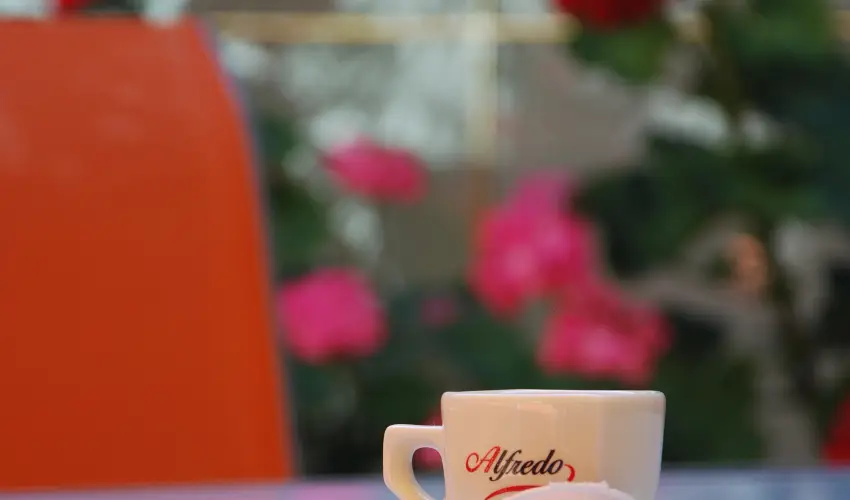 Bacchus Panzi Eger - Mjus 1. (min. 2 j)