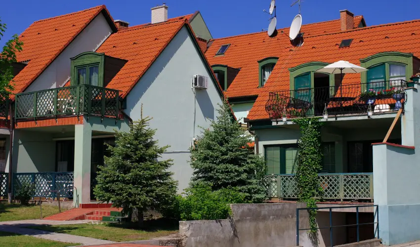 Bacchus Panzi Eger - Mjus 1. (min. 2 j)