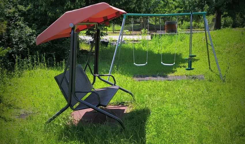 Bacchus Panzi Eger - Mjus 1. (min. 2 j)