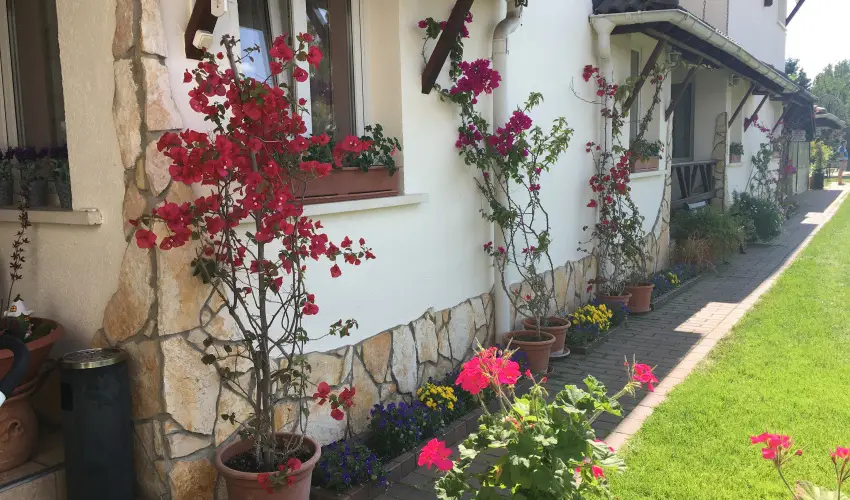 Bagolyvr Inrcs Inrcs - Mjus 1. 