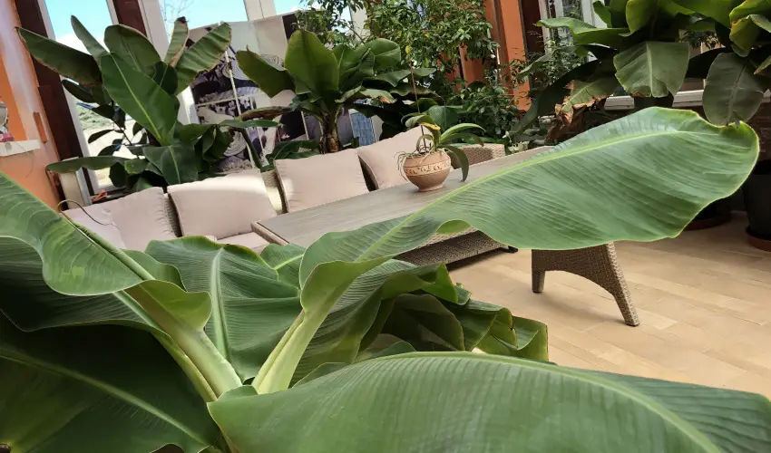 Bagolyvr Inrcs Inrcs - Mjus 1. 