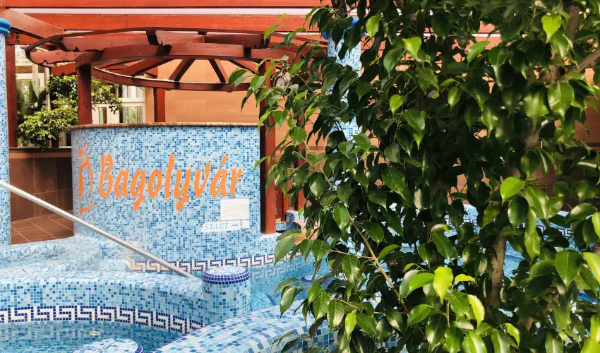 Bagolyvr Inrcs Inrcs - Mjus 1. 