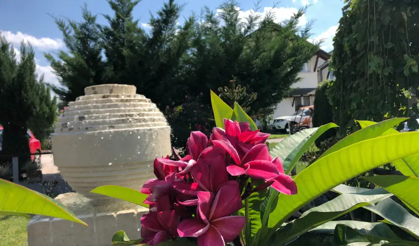 Bagolyvr Inrcs Inrcs - Mjus 1. 